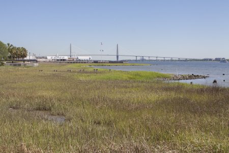 Een moerasgebied in de stad Charleston
